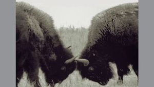 Hold Me, Thrill Me, Kiss Me, Kill Me (From 'Batman Forever')