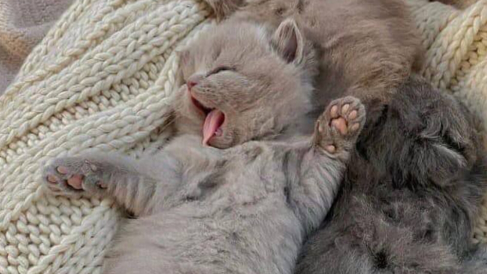 играю смотреть онлайн