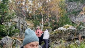 Зубчатки осень 24