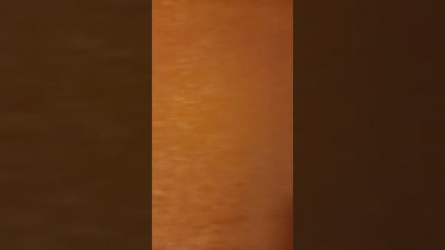 Роллшторы Уни 2, Шелк блекаут персиковый