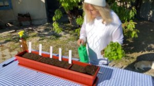 Первый ОГОРОД | Чай из СИРЕНИ