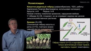 Дубынин В.А. - 100 часов школьной биологии - 2.24. Селекция животных и растений