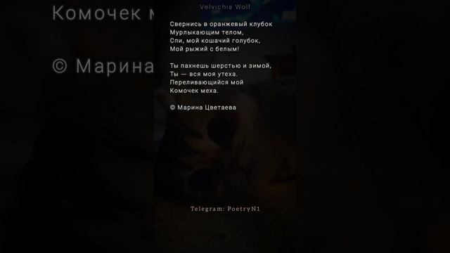 Марина Цветаева