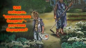 Буктрейлер Соколич М. «Васины истории». Библиотека №5