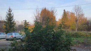 Однокомнатная квартира в посёлке. южный
8906-211-32-62