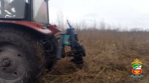 В Новокузнецком районе транспортные полицейские уничтожили очаг дикорастущей конопли