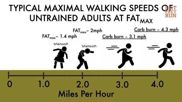 Eat Prey Run Sunday: Brain Nutrition Facts смотреть онлайн