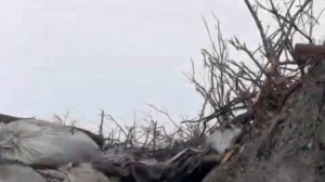 Tropas Ucranianas en Trincheras LUCHA A MUERTE CONTRA LOS RUSOS #viral #videoshorts #rusia #ucrania