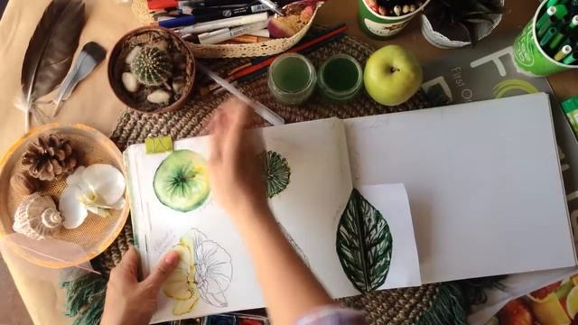 Пропорції. Природа | Арт Книга - Art Book