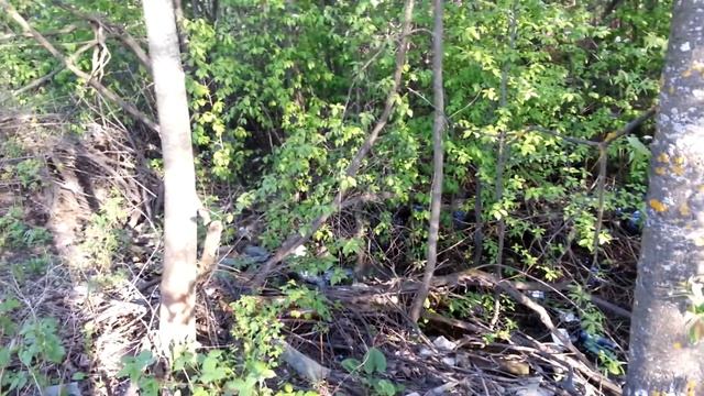 Йошкар-Ола "чистый" город смотреть онлайн