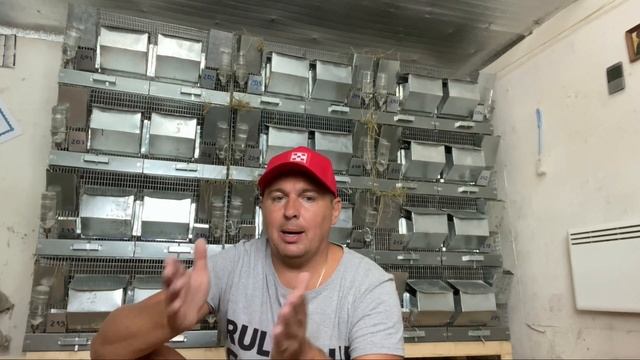 ВЕРНУЛСЯ ИЗ ОТПУСКА || ЛЕЧУ НА ФЕРМУ || ДЕЛ ВАГОН! смотреть онлайн