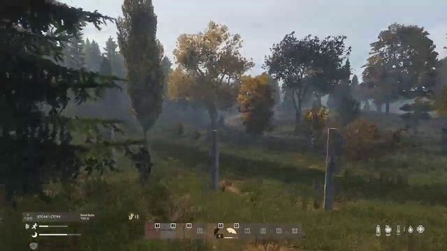 DayZ: Stalker DarkWay "Свобода" Спасение Дунича. Часть 1 смотреть онлайн