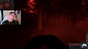 РЫЖИЙ ЛЕС И ЕГО РАДИАЦИЯ ➤ S.T.A.L.K.E.R. : ЧИСТОЕ НЕБО #38