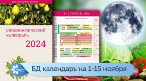 Биодинамический лунный календарь на первую половину ноября 2024.