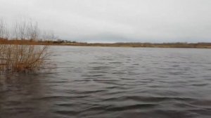 Шум реки Волхов