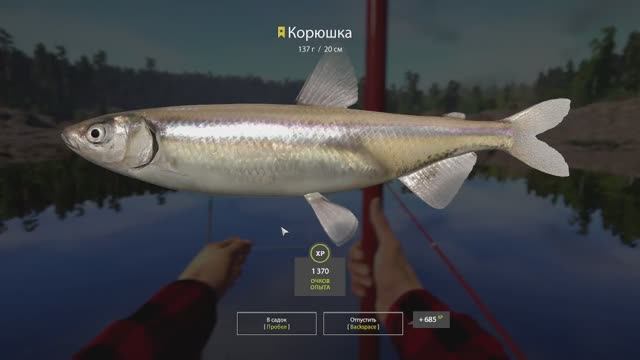 Русская Рыбалка 4