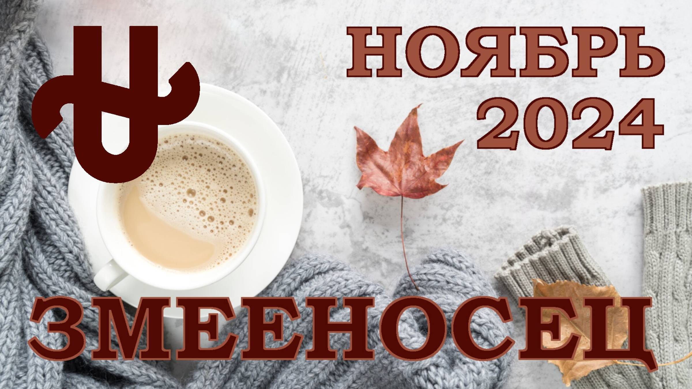 ЗМЕЕНОСЕЦ | ТАРО прогноз на НОЯБРЬ 2024 года | Желание | Расклад таро | Таро онлайн