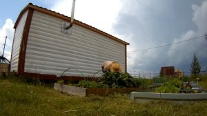 24.06.23 Град в июне-маленькое буйство природы. Leisurely work on their land in Russia.