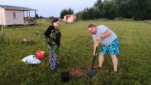 Ностальгическое видео по летнему теплу.