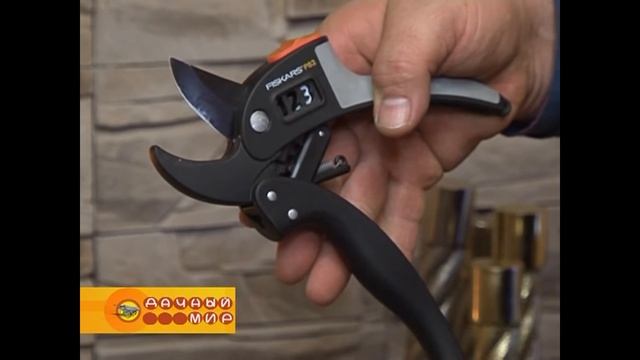 Выбор инструмента для обрезки деревьев