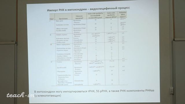 Каменский П. А. - Молекулярная биология митохондрий - 8. Импорт белков