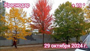 Краснодар - Осень в городе 🍂 - 29 октября 2024 г