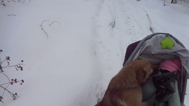ЗАГОРЬЕ 20.01.2021