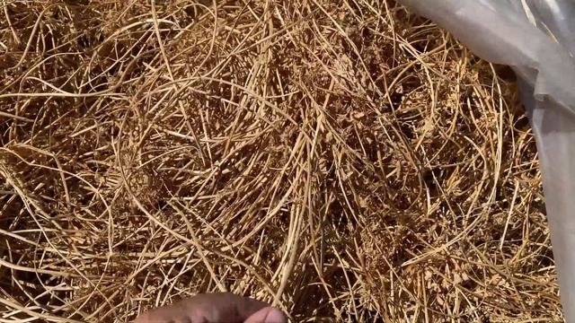 ❗7 ОШИБОК КОТОРЫЕ Я СДЕЛАЛ || #ШИНШИЛЛОВАЯ_ФЕРМА || ПЛЕМЕННЫЕ ШИНШИЛЛЫ смотреть онлайн