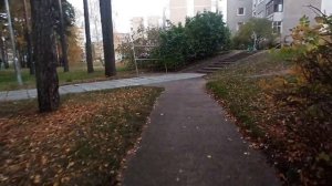 Обзор на Висагинас (город Ябуджина)
