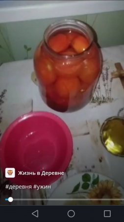 #деревня #ужин