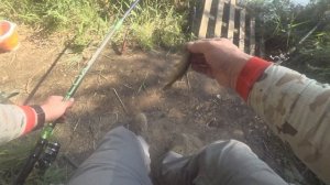 в поисках карася. Уже почти...