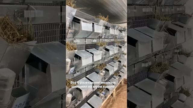 Сельское хозяйство смотреть онлайн