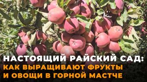 Почему фрукты и овощи Горной Мастчи имеют особенный вкус?