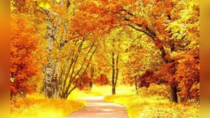 Видео открытка "Здравствуй, осень!"