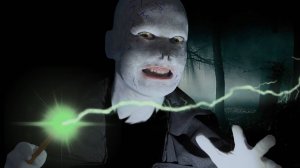 Волан-де-Морт. Тёмный Лорд уже те тот.