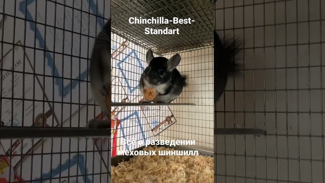 Сельское хозяйство смотреть онлайн