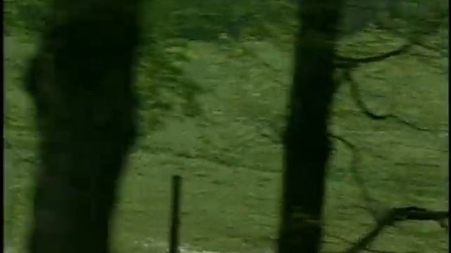 The FBI Files S01E03 - "Human Prey" смотреть онлайн