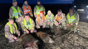 ЗАГОННАЯ ОХОТА НА КАБАНА СУПЕР ТРУДОВОЙ ДЕНЬ#hunting #охота #охотаслайкой