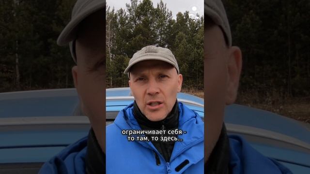 Кто такая умная собака?