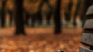 Жизненные истории -  Изменивший жизнь поступок...