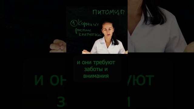 Питомцы - бактерии # #врач #нутрициолог #мамочкивдекрете #здоровье