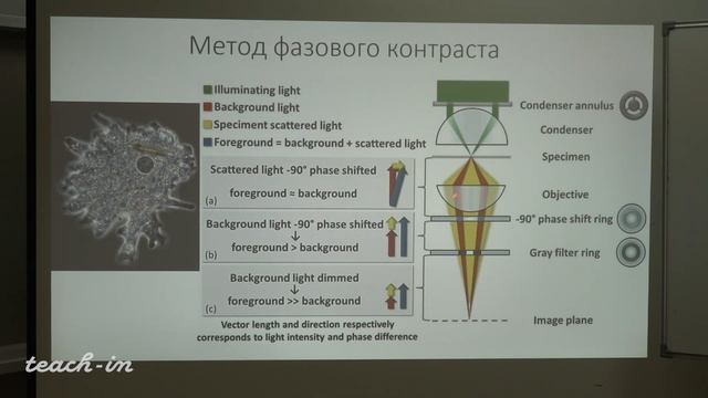 Нечипуренко Д. Ю. - Экспериментальные методы в биофизике - Оптическая микроскопия