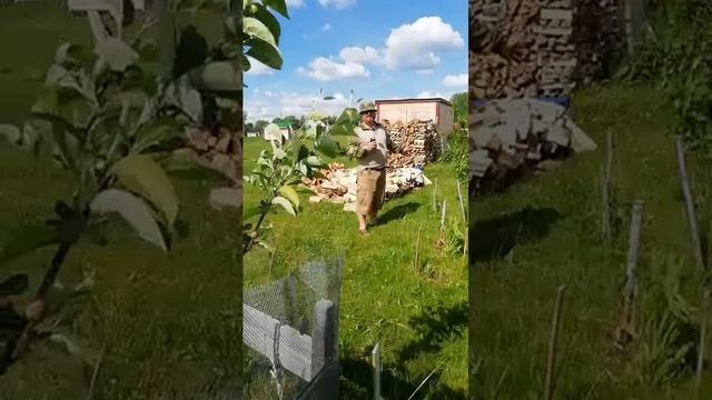С днем России!