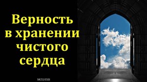 Верность в хранении чистого сердца. А. С. Елисеев. МСЦ ЕХБ