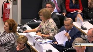 Bahar Muradova - Meeting of the Standing Committee 2 / Berlin Annual Session 2018