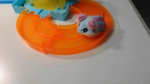 Наш хомячок хочет кушать накорми его лайками и подпиской