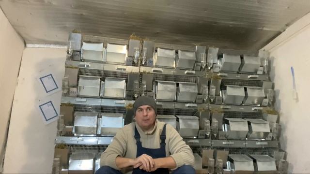 ИСКУСТВЕННЫЙ МЕХ ЗАМЕНИТ НАТУРАЛЬНЫЙ | ФЕРМА | ЗВЕРОВОДСТВО смотреть онлайн