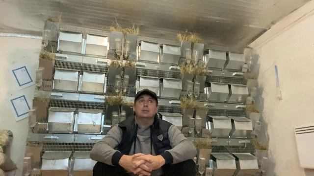ПОЧЕМУ ВЫБРАЛ ШИНШИЛЛ И КАКАЯ У МЕНЯ ЦЕЛЬ || ФЕРМА ШИНШИЛЛ || ШИНШИЛЛОВОДСТВО смотреть онлайн