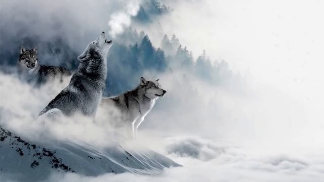 РЕЛАКС Флейта Северных Индейцев. Релакс Музыка Для Глубокого Сна