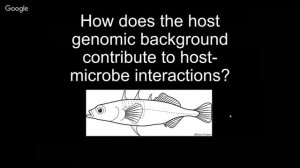 Kat Milligan-Myhre p1: Adapting an evolutionary model for host-microbe studies